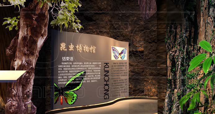 昆蟲(chóng)博物館(圖3)