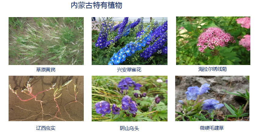 內(nèi)蒙古科普展廳設(shè)計(jì)—案例續(xù)篇(圖5)
