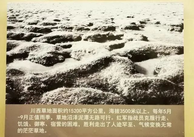 【建黨100周年】長(zhǎng)征——偉大壯舉,不朽豐碑!(圖32)