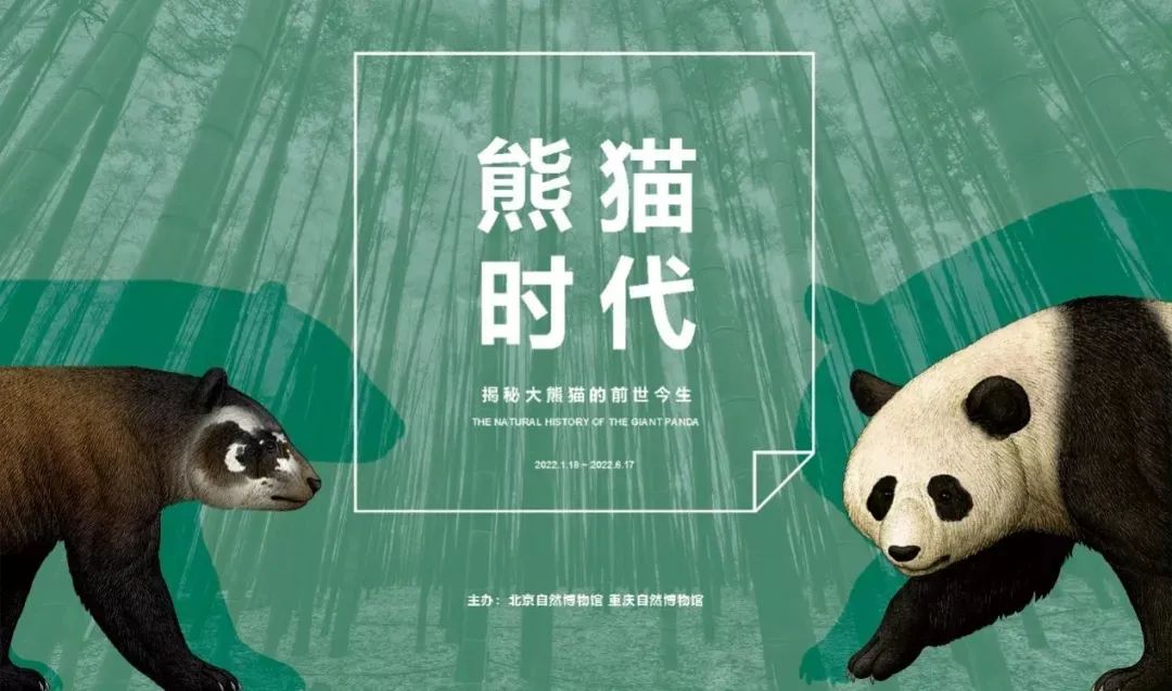 3月北京展訊丨最是一年春好處，最高人氣藝術(shù)大展等你去打卡...(圖10)